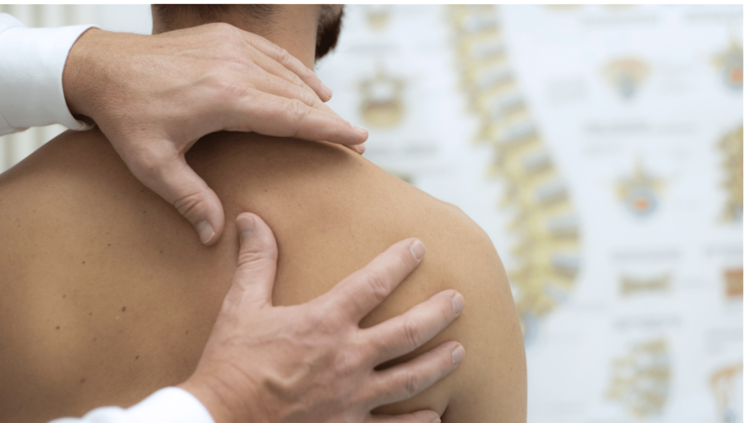 Medical check at the shoulder in a physiotherapy center